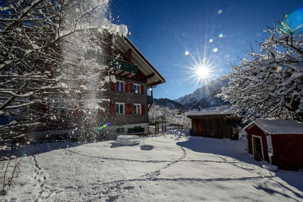 Alpakahof Wechs Bad Hindelang Exterior foto
