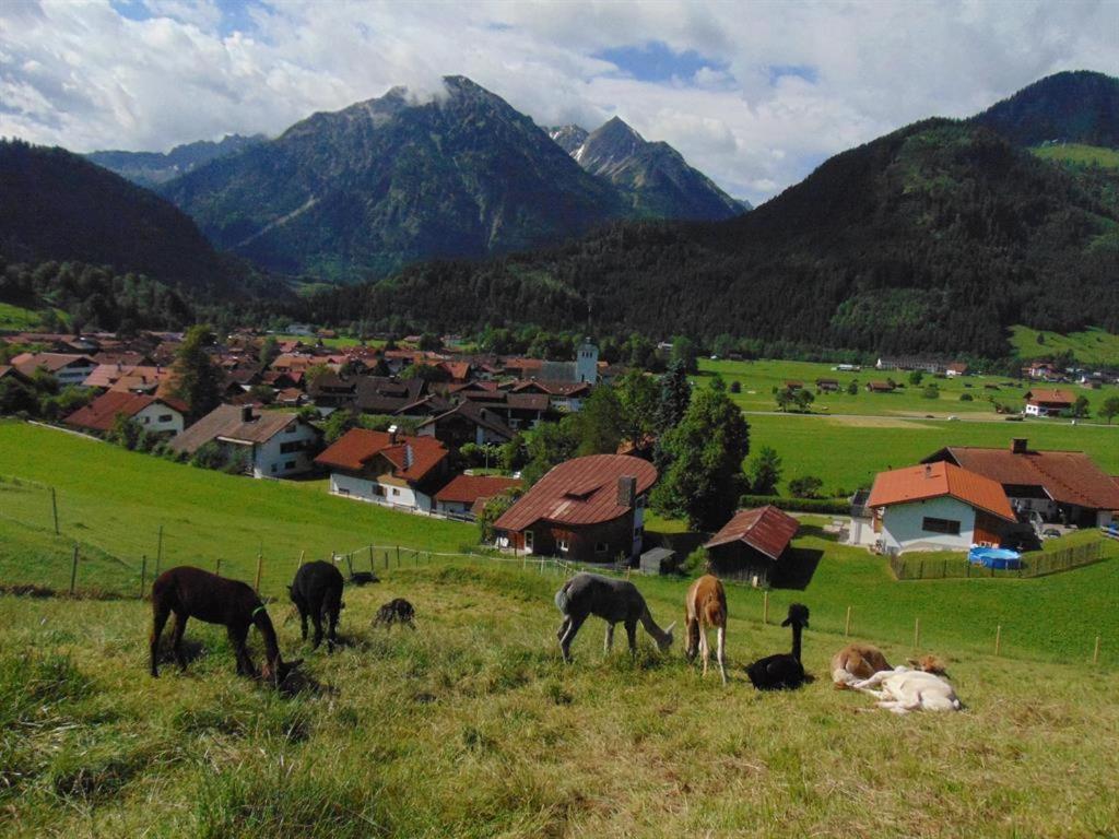 Alpakahof Wechs Bad Hindelang Exterior foto