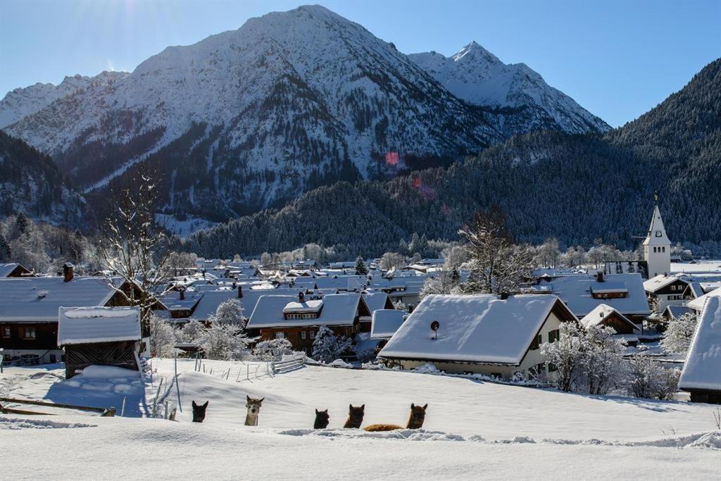 Alpakahof Wechs Bad Hindelang Exterior foto